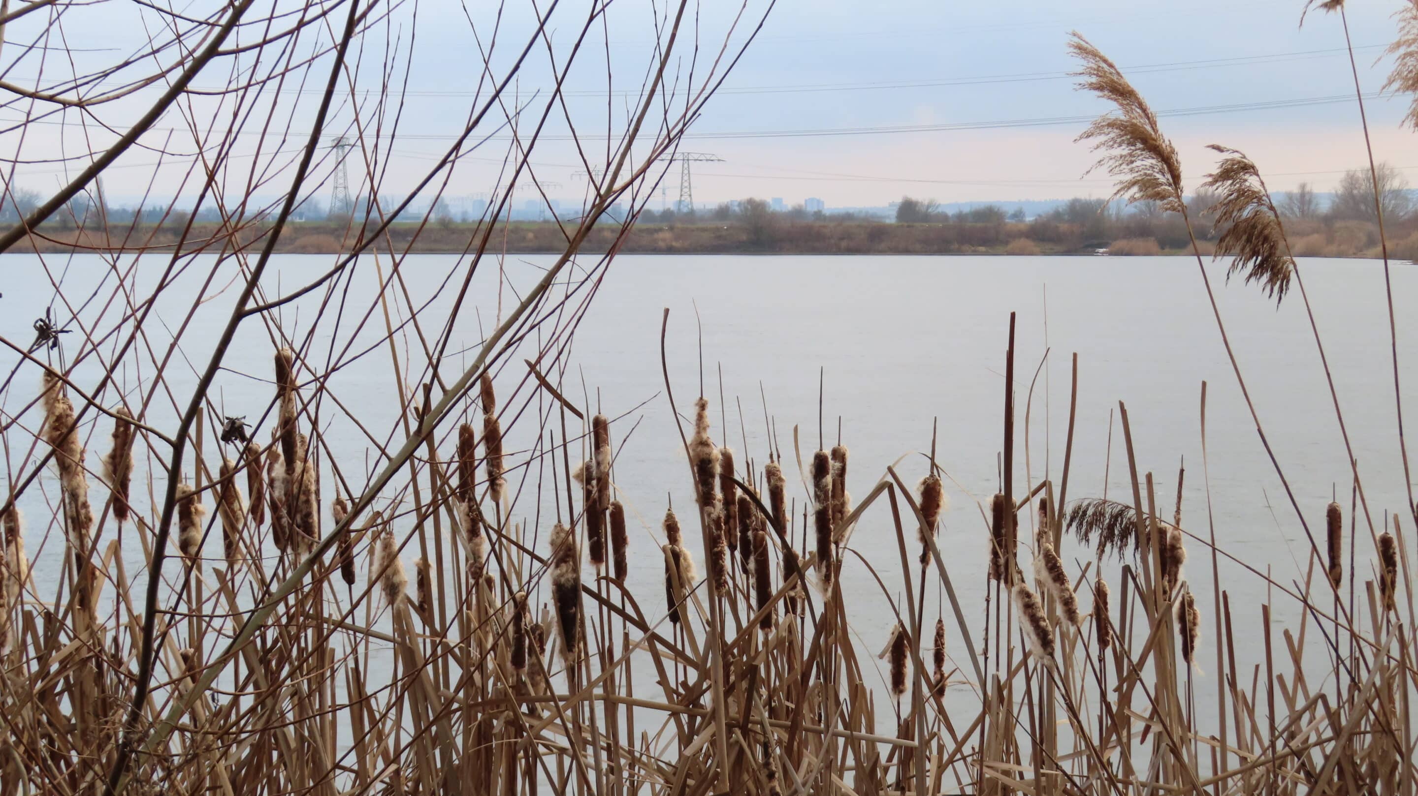 Erfurter See vor den Toren der Stadt Erfurt Ruhe über den Erfurter Seen im Winter.