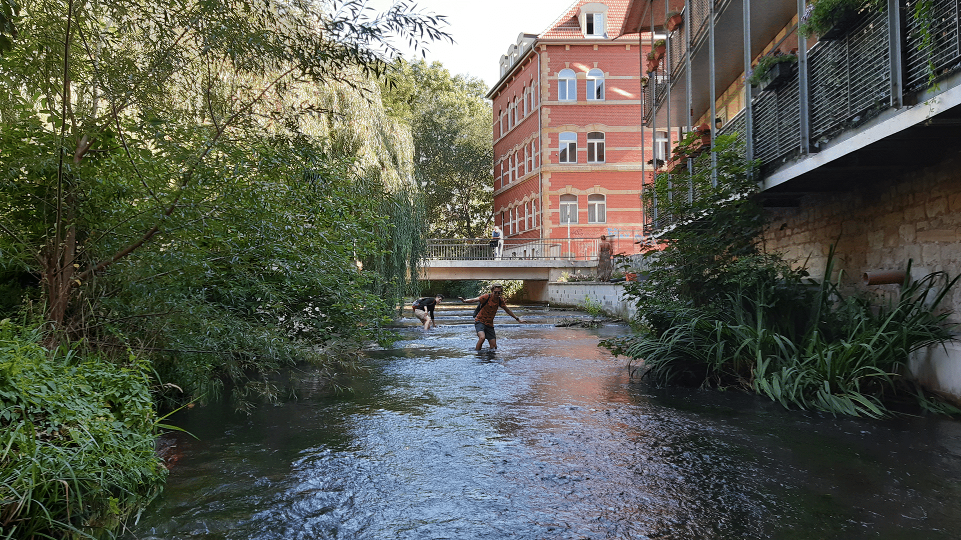 Flusswanderer in der Gera Erfurt.