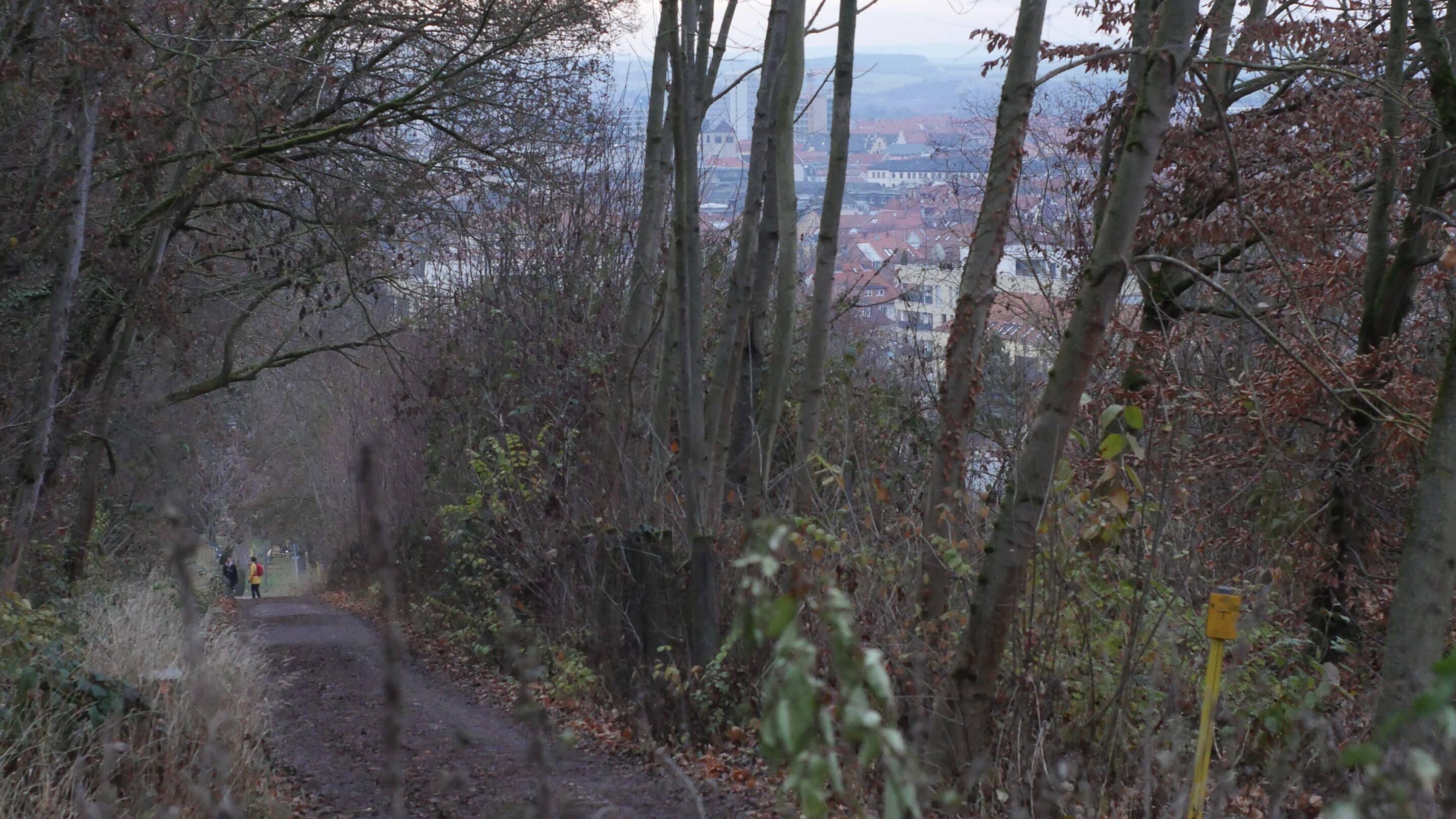 Blick auf Erfurt durch den Wald des Steigers im Winter.