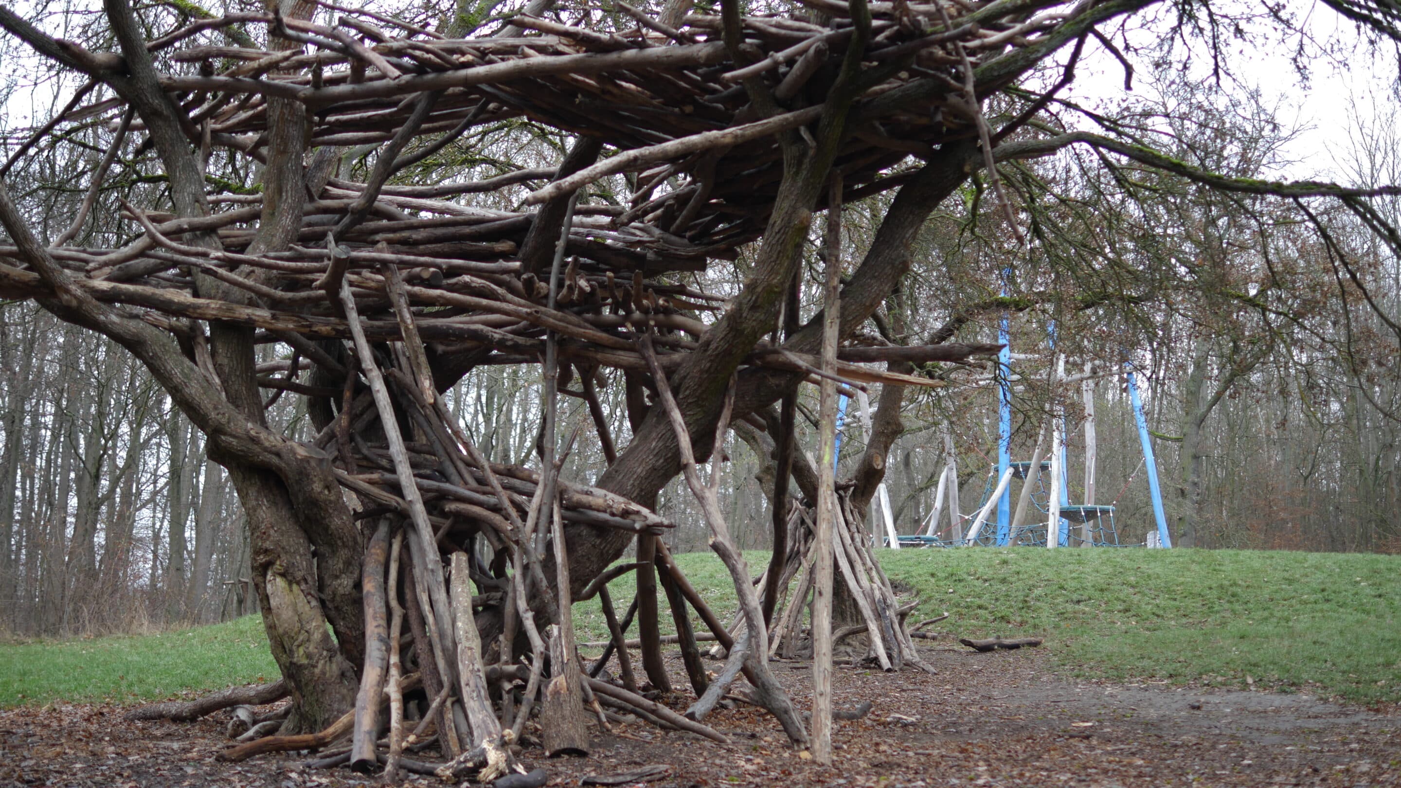 Immer öfter entstehen selbgebaute Baumhäuser im Steiger Erfurt.
