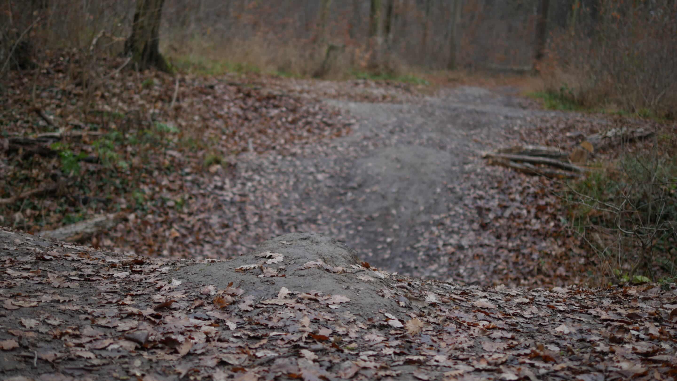 Sprungschanze eines Singletrails im Steiger Erfurt