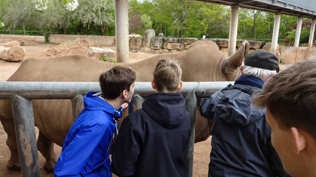 Besucher bei einer Sonderführung Nashorngehege Zoopark Erfurt