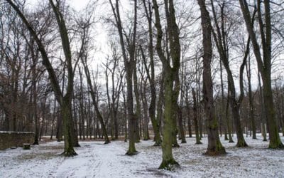 LPI-EF: Gartenhäuser aufgebrochen