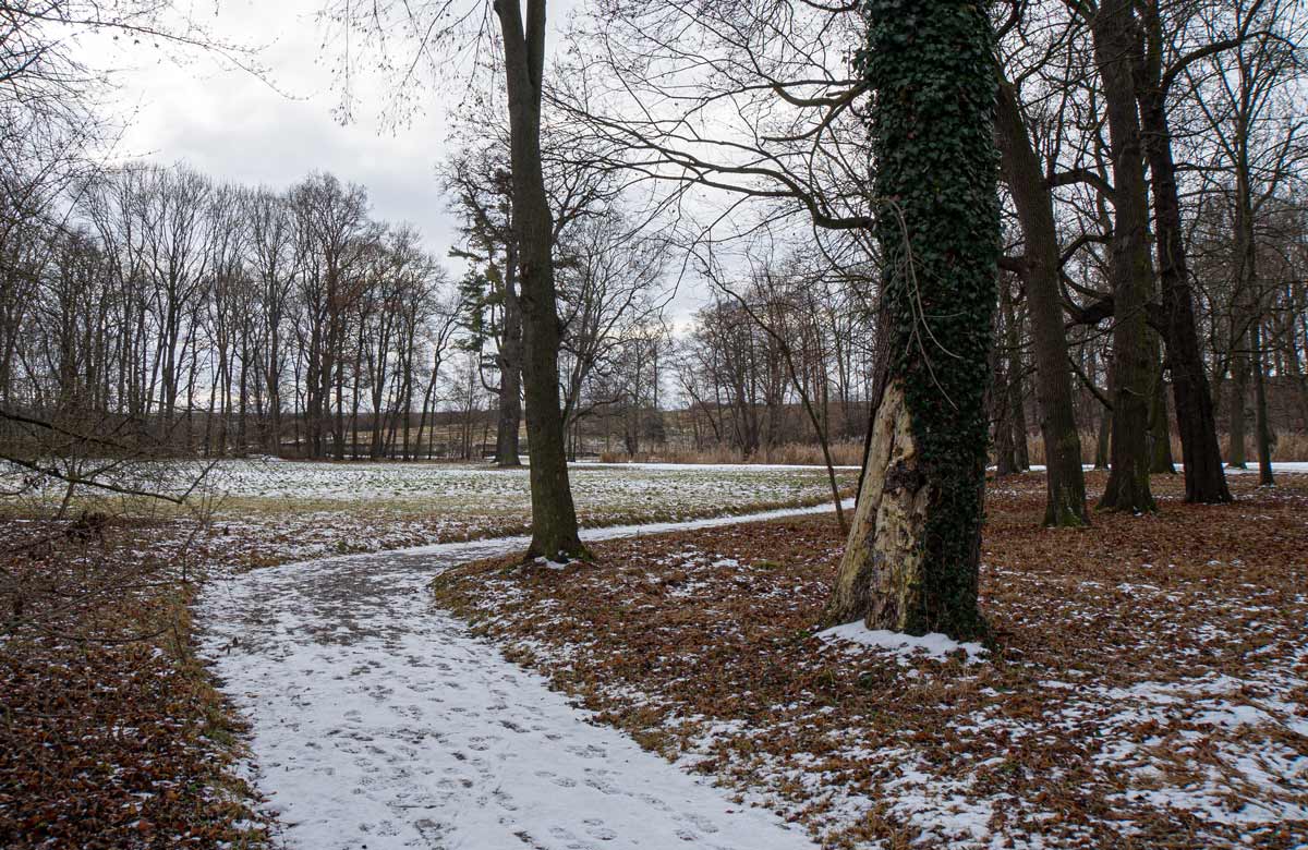 geschwungene Wege statt Symmetrie kennzeichen die Wegeführung im Park von Molsdorf