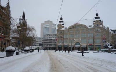 Singvögel füttern ist erlaubt