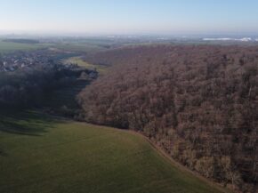 Peterbach Erfurt Rohda Haarberg WEB_erfurt