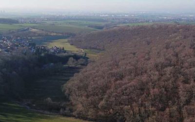 Der Peterbach bei Erfurt
