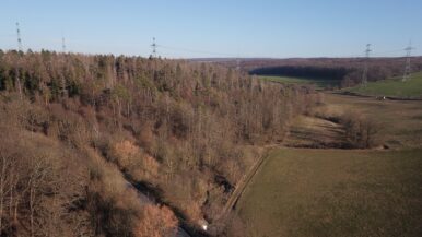 Tal Peterbach Stromtrasse WEB_erfurt