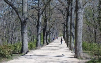 Der Bürgerpark Espachbad