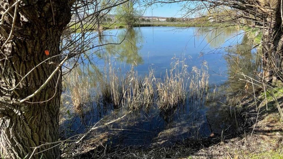 Die Teiche in der Schmidtstedter Flur