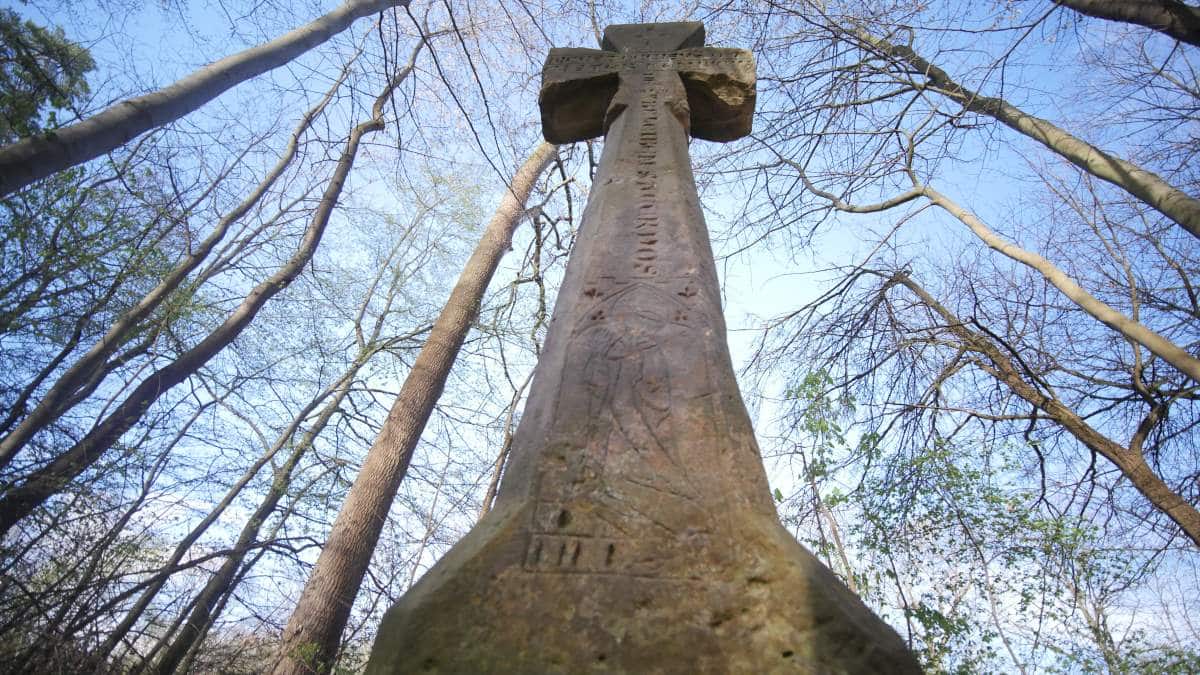 Das Mönchskreuz im Steigerwald Erfurt aus der Froschperspektive