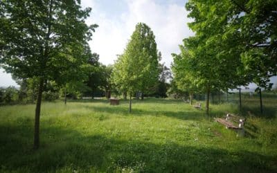 Der Lutherstein bei Stotternheim