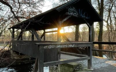 Luisenpark-Runde im Sonnenschein