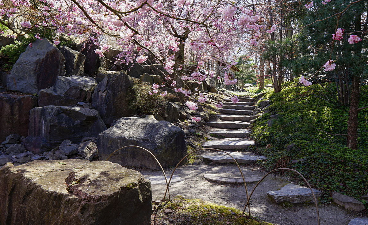 Treppe im Japanischen Garten im egapark