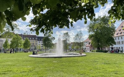 LPI-EF: Mutprobe führt zu Anzeige