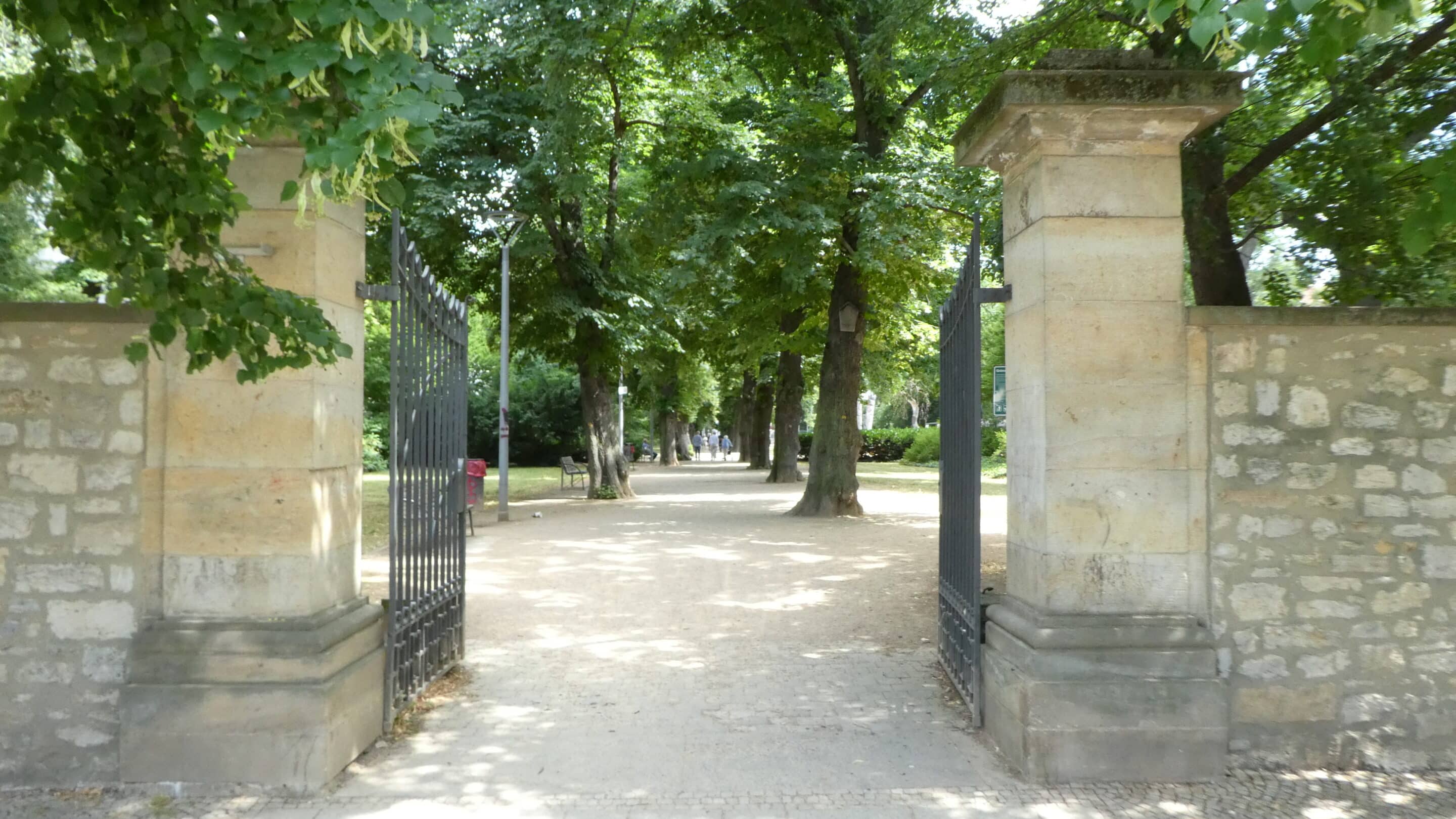 Eine Allee führt durch den Brühler Garten in Erfurt.