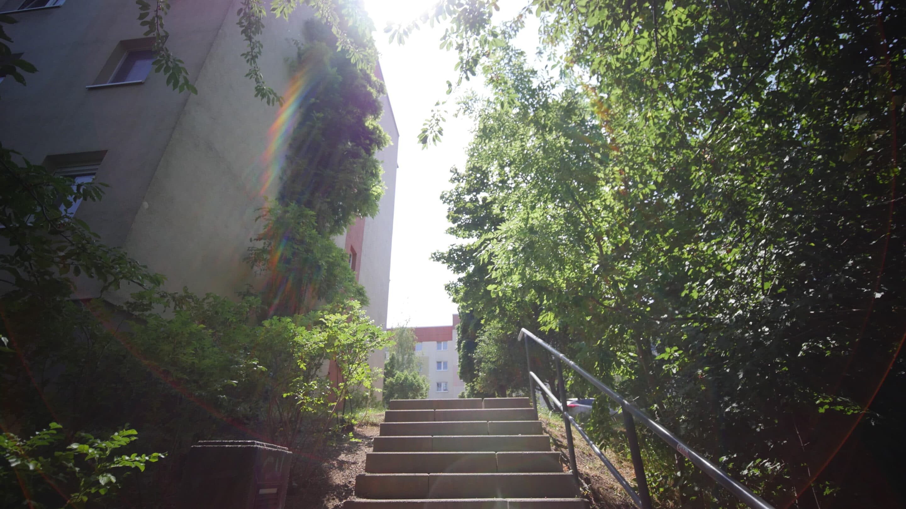 Eine Treppe führt den Wiesenhügel hinauf. Landeshauptstadt Erfurt.