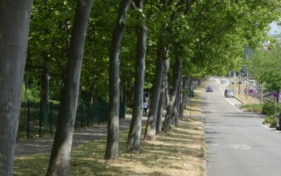 LPI-EF: Schwerverletzt nach Schlägerei