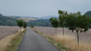 Geraradweg zwischen Plaue und Angelroda_erfurt