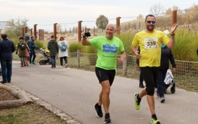 Zooparklauf geht in die 27. Runde