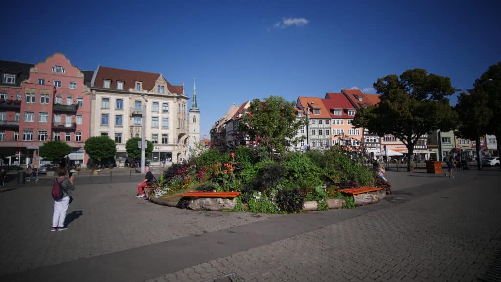 der-erfurter-domplatz-impressionen