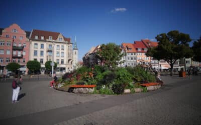 Das Naturkundemuseum in Erfurt 3 Das Naturkundemuseum in Erfurt Domplatz Erfurt – Bühne mit wechselnden Vorstellungen