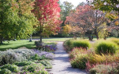 Der Luisenpark Erfurt – ein Park drei Namen