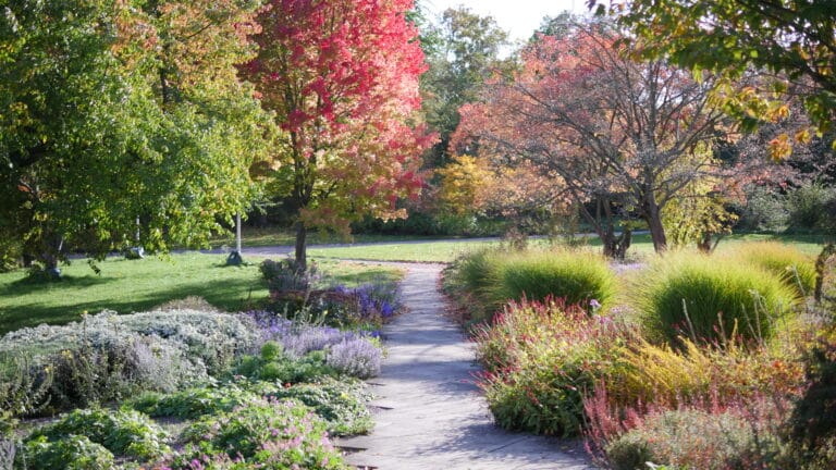 Der Luisenpark Erfurt – ein Park drei Namen