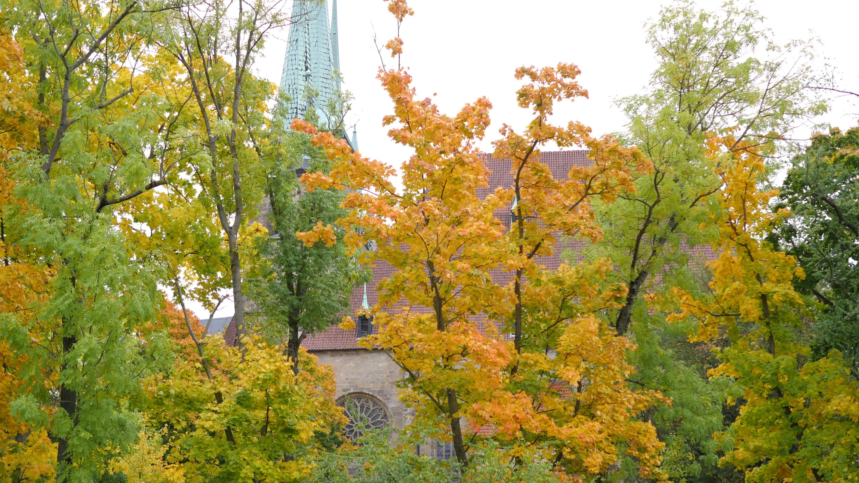 Der Dom in Erfurt versteckt sich im Herbst noch hinter Bäumen.