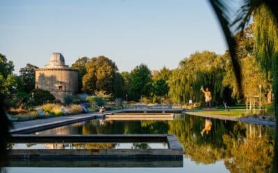 Baumpflegearbeiten im egapark