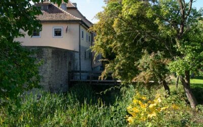 LPI-EF: Forstzubehör gestohlen