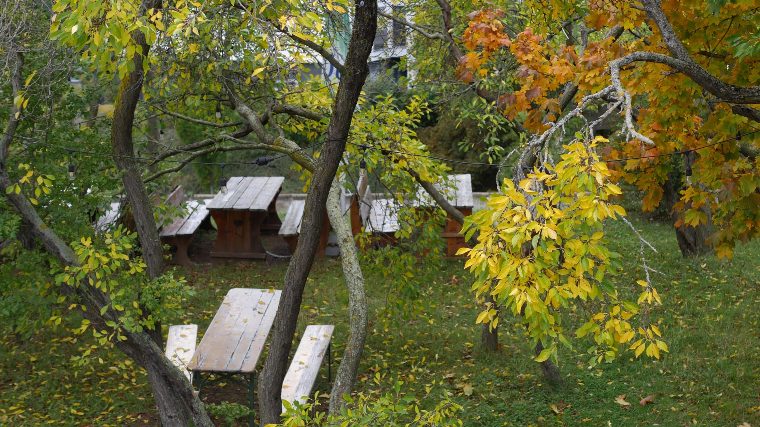 Die Genußbastion auf der Bastion Martin am Petersberg Erfurt.