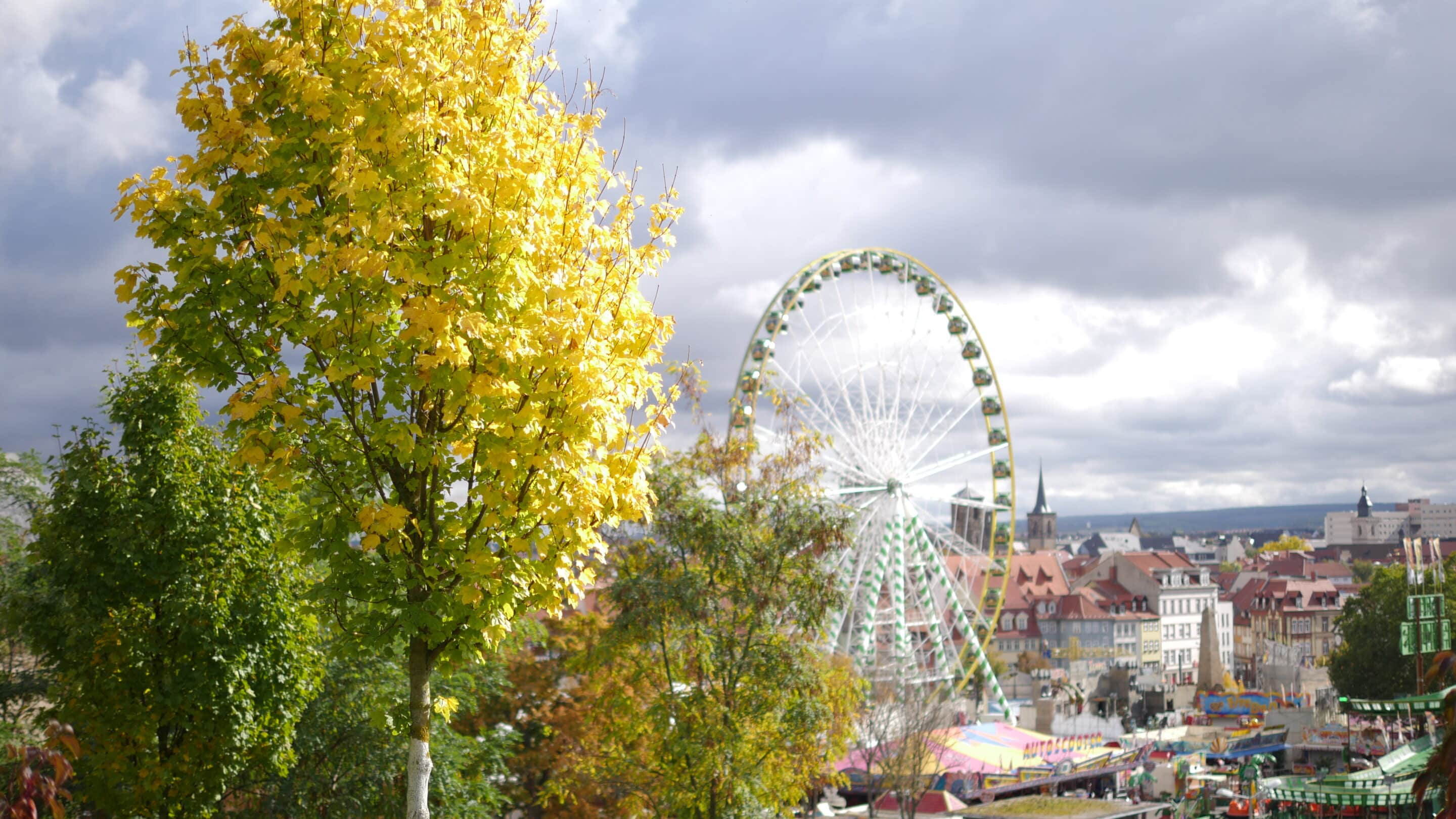 Herbst in Erfurt Vilniuser Strasse.