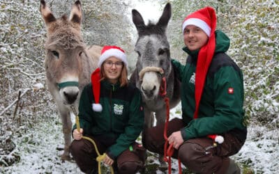 Mit Esel, Yak oder Pony: Glühwein-Wanderung im Thüringer Zoopark – auch für Weihnachtsfeiern buchbar