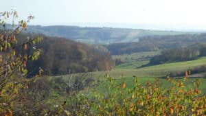 Blick zum Kyffhaeuser Gebirge bei Hainrode im Unterharz 1_erfurt