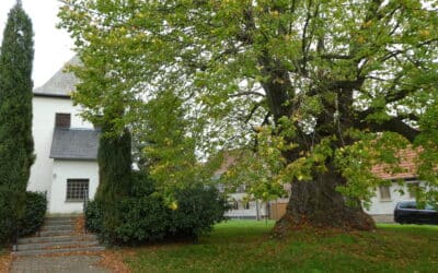 Männertag in Thüringen