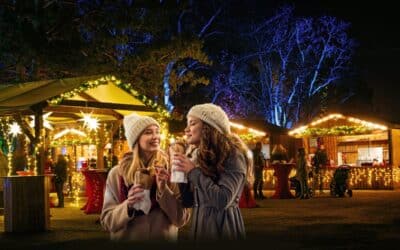 All Inclusive Weihnachtsmarkt im egapark