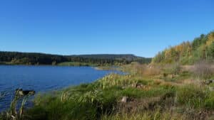 Uferweg an der Talsperre Heyda im Wipfragrund 1_erfurt