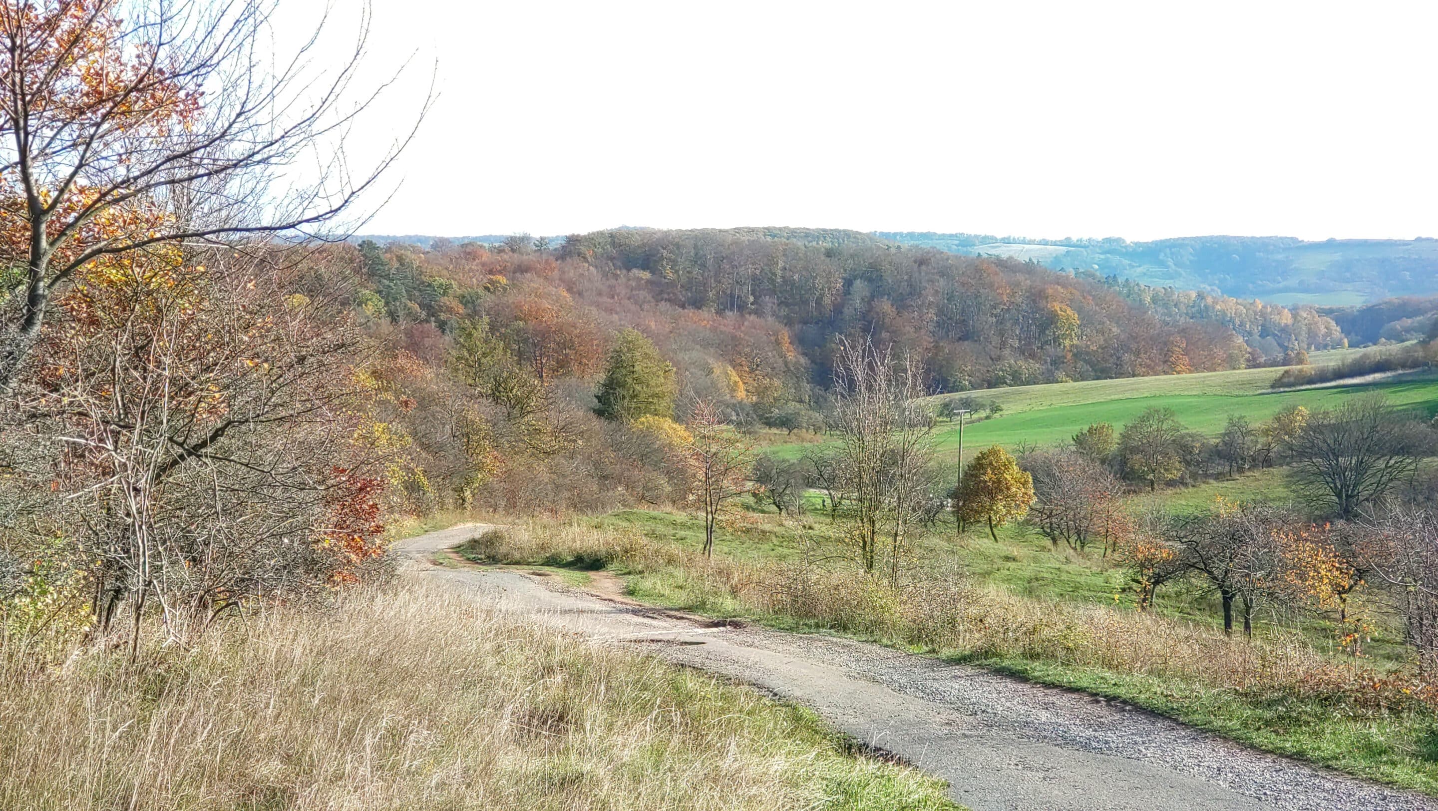 Weg von Questenberg und Wickerode zur Rothaer Landgemeinde in der Gemeinde Suedharz. scaled_erfurt