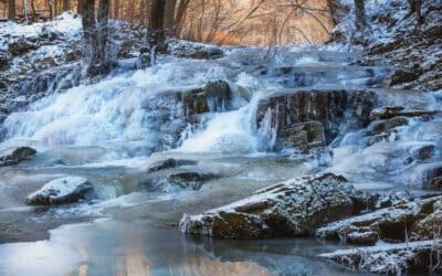 Sonderausstellung zum 26. Natur-Fotowettbewerb im Naturkundemuseum