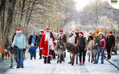 Der Weihnachtsmann kommt in den Zoo!