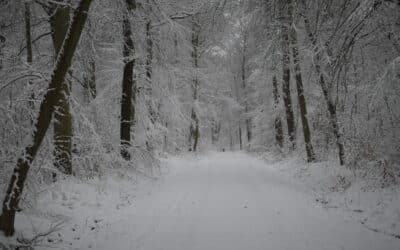 Winterzauber im Steiger