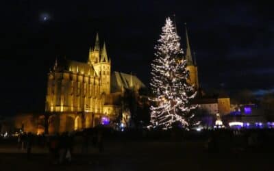 Abholung der Weihnachtsbäume