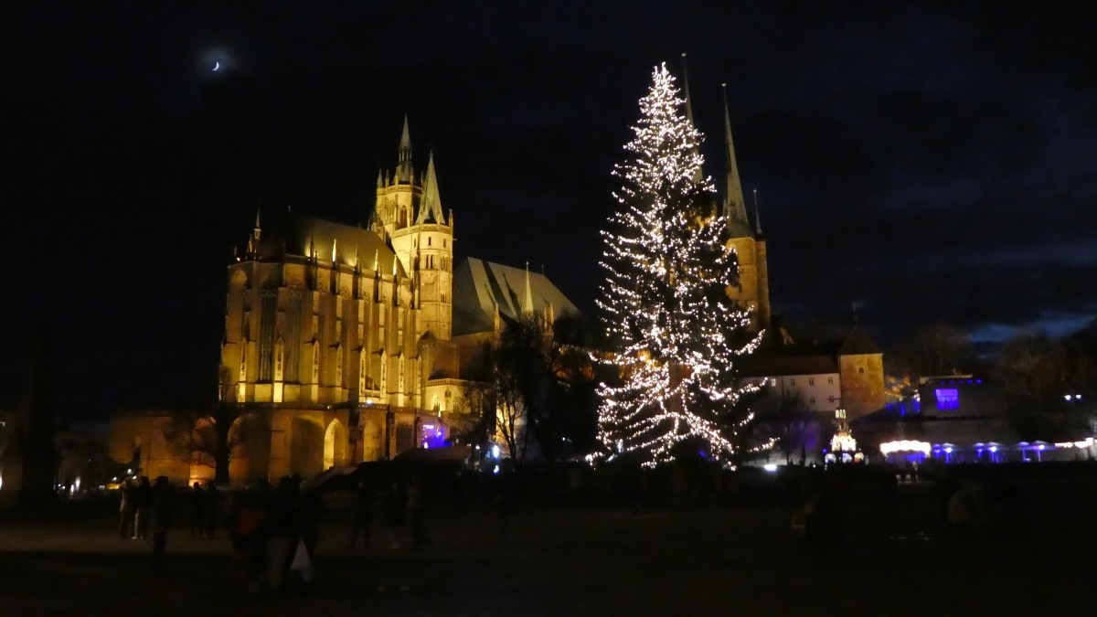 Wann werden die Weihnachtsbäume in Erfurt abgeholt?