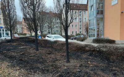 Garten- und Friedhofsamt zieht Bilanz der Silvesternacht