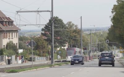 LPI-EF: Betrunkener Autofahrer verursacht Totalschaden