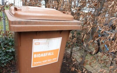 Biotonnen werden wieder wöchentlich geleert