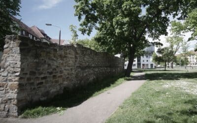 LPI-EF: Radfahrerin bei Verkehrsunfall schwer verletzt