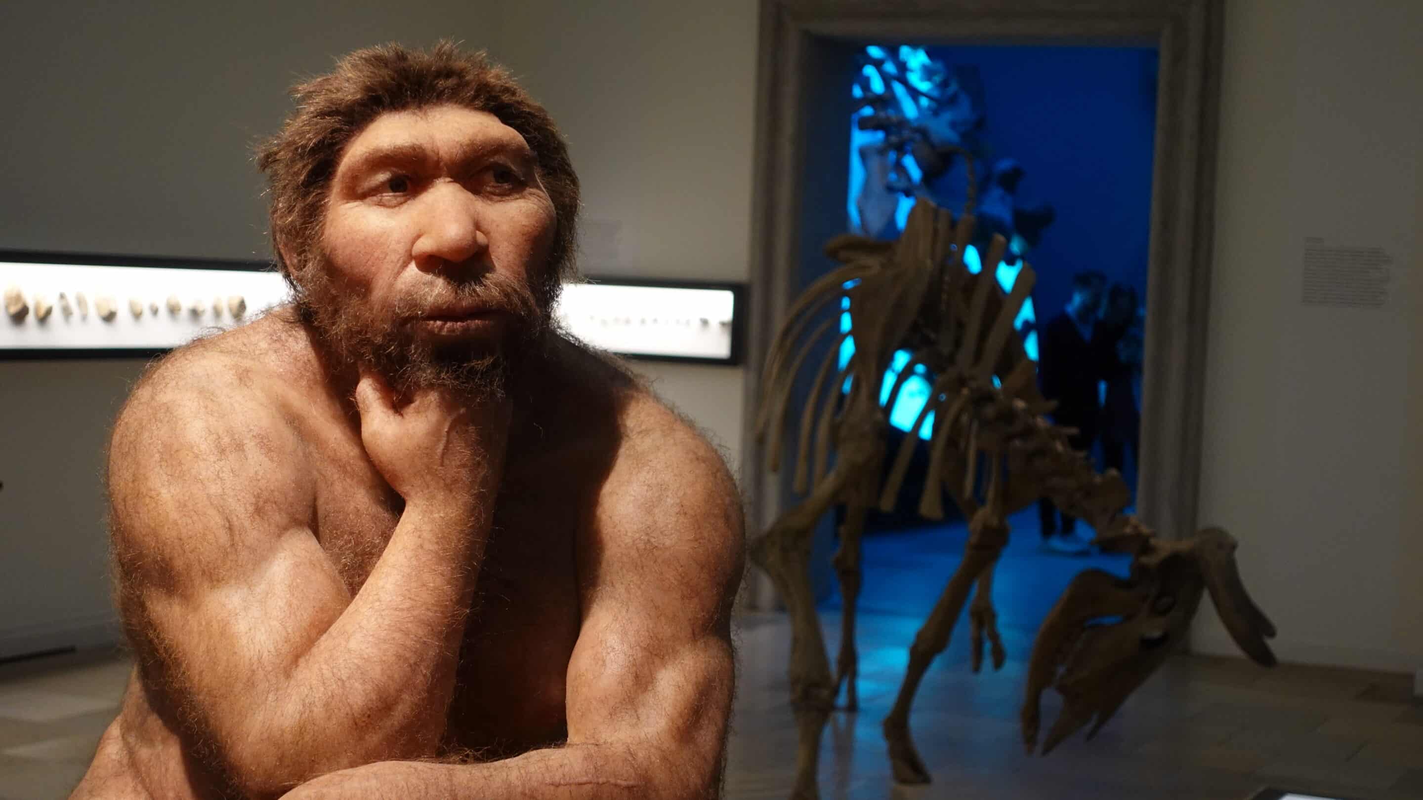 Neandertaler Nachbildung im Landesmuseum Halle scaled_erfurt