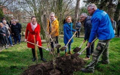 egapark-Freunde spenden fünf bienenfreundliche Großgehölze für den egapark